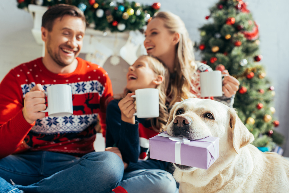 Rompiendo con la idea de la Navidad perfecta